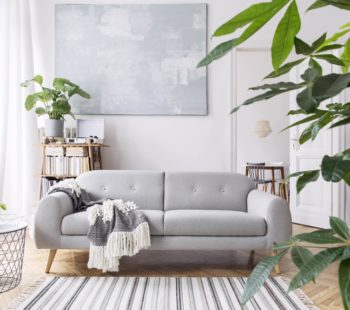 Como Elegir El Sofa Perfecto