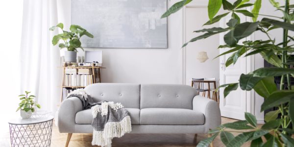 Como Elegir El Sofa Perfecto